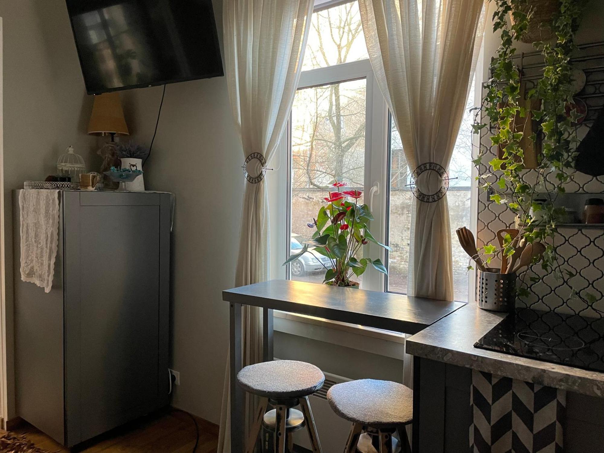Pristine 1Br Apt In City Center W/ Patio And Parking Riga Kültér fotó